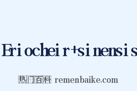 Eriocheir sinensis是什么意思的图片